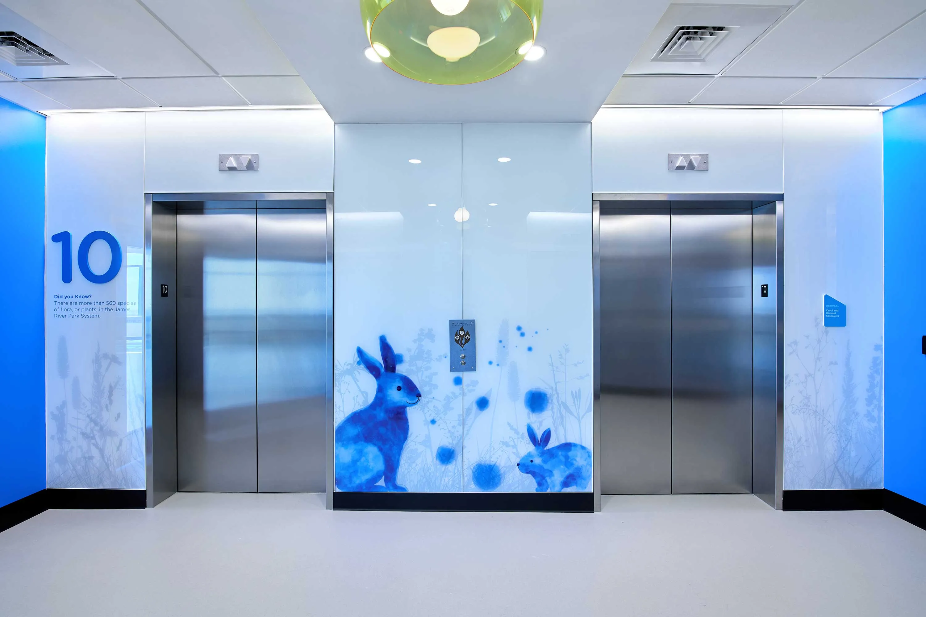 James River habitat-inspired wall graphics, Wonder Tower Children's Hospital of Richmond