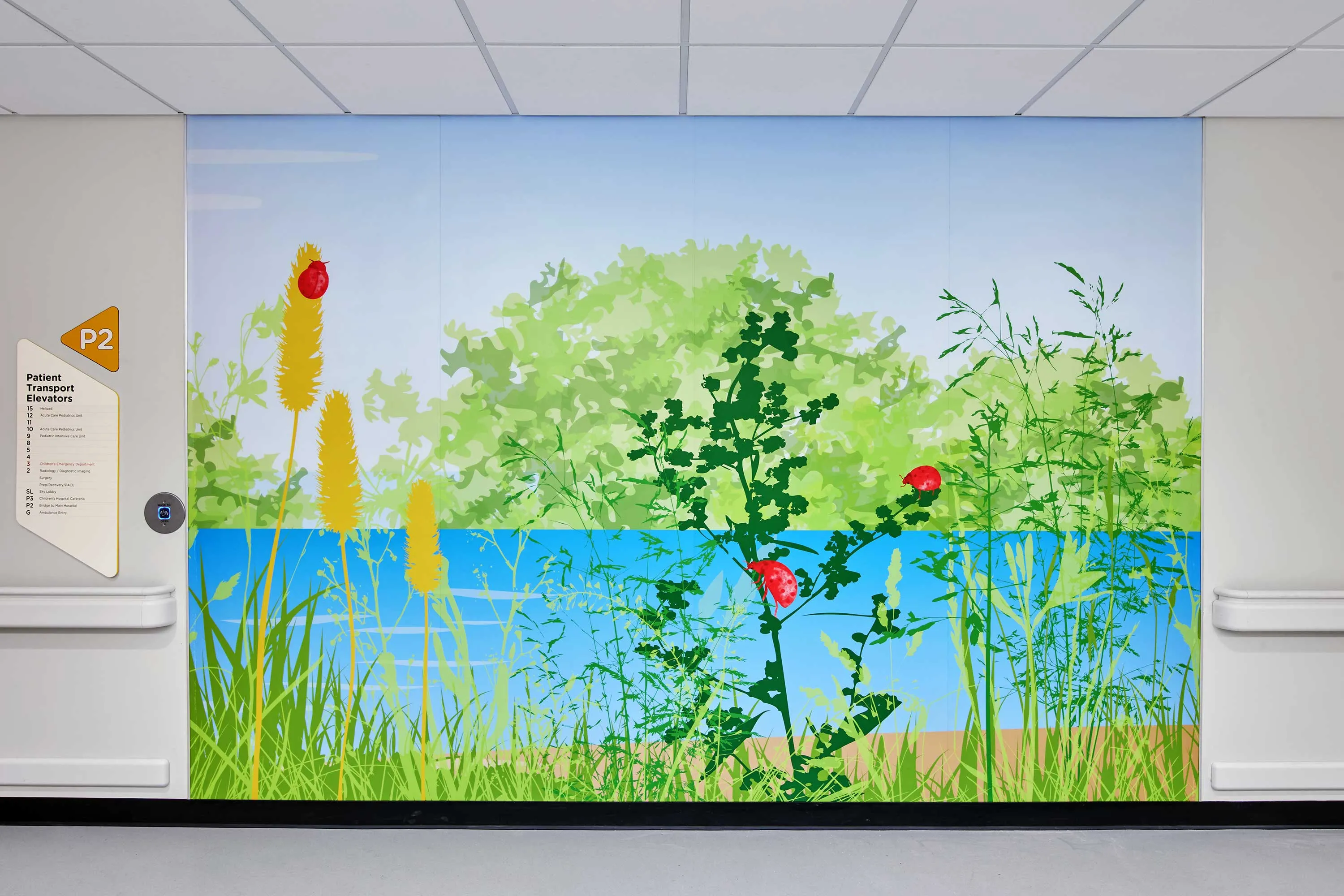 Calming corridor graphics with nature theme, Wonder Tower VCU Health Richmond