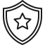 Shield with star icon, security or protection symbol