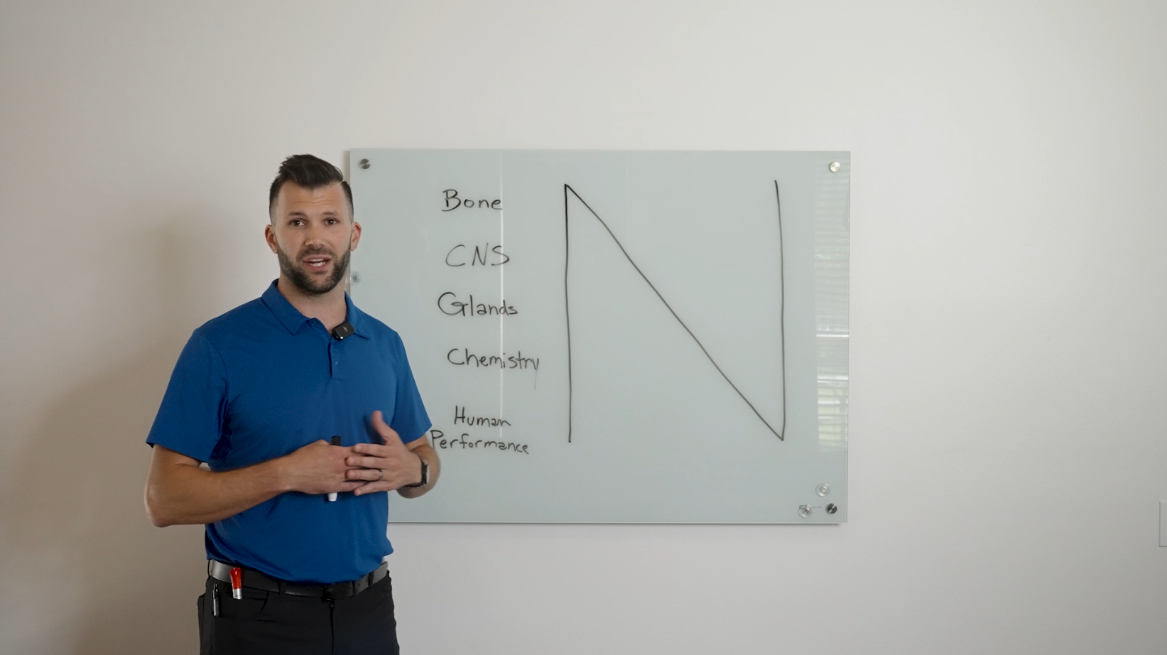 A video explaining why chiropractic works