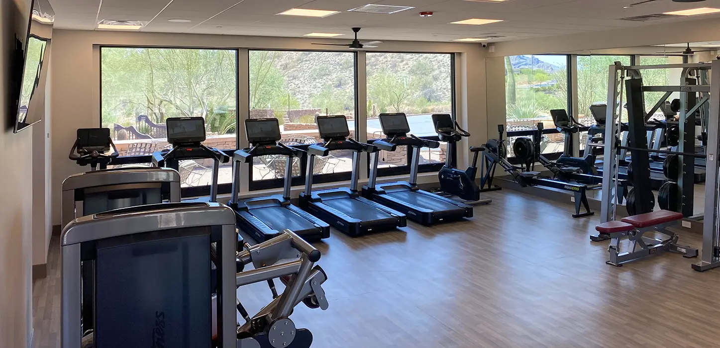 Modern gym room with treadmills, rowing machine, weight bench, and large windows showing outdoor trees.