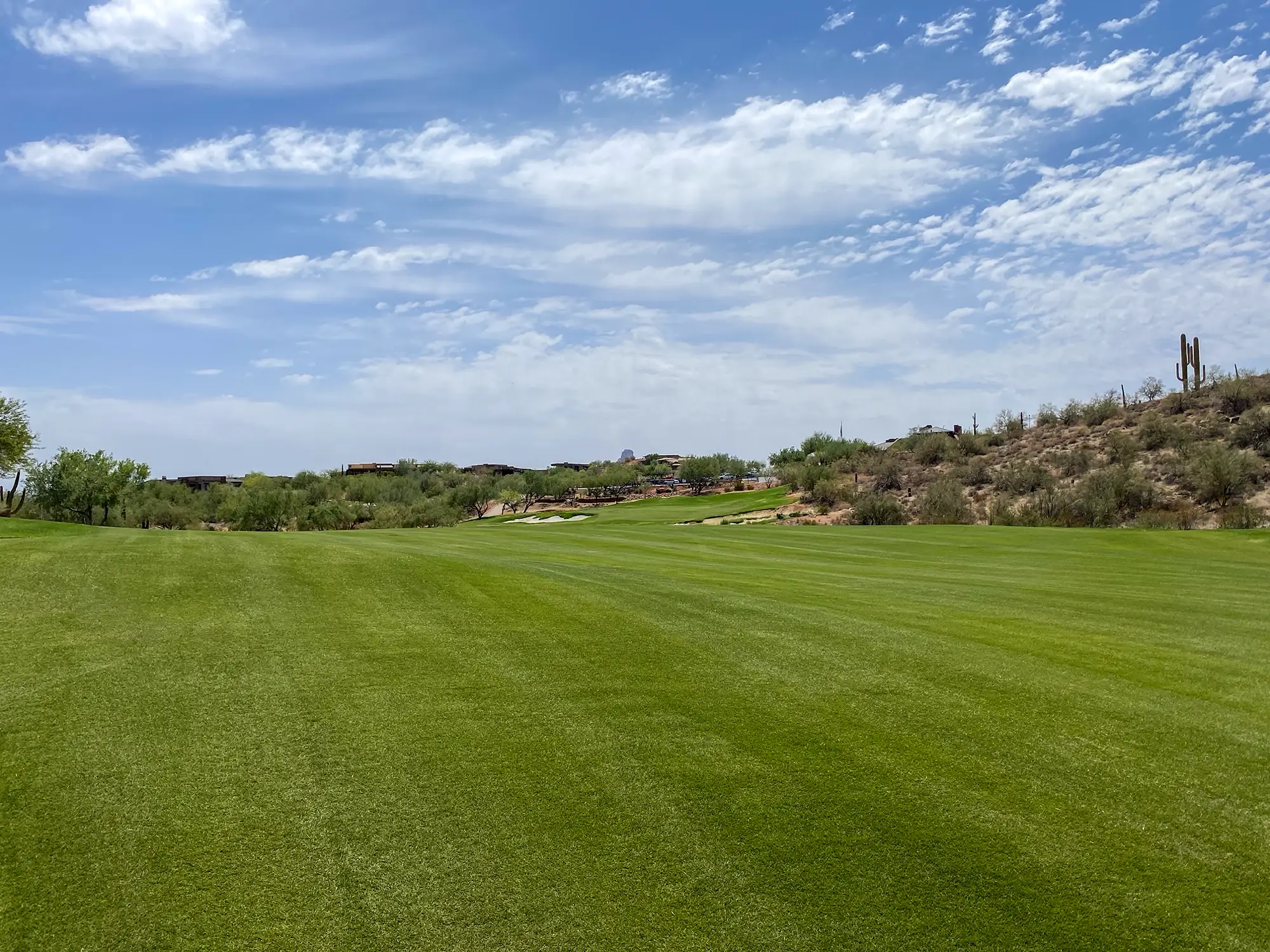 Wide view of a green golf course fairway with desert shrubs and cacti under a blue sky.
