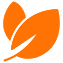 Temecula vineyard in season with lush grapevines and golden hills