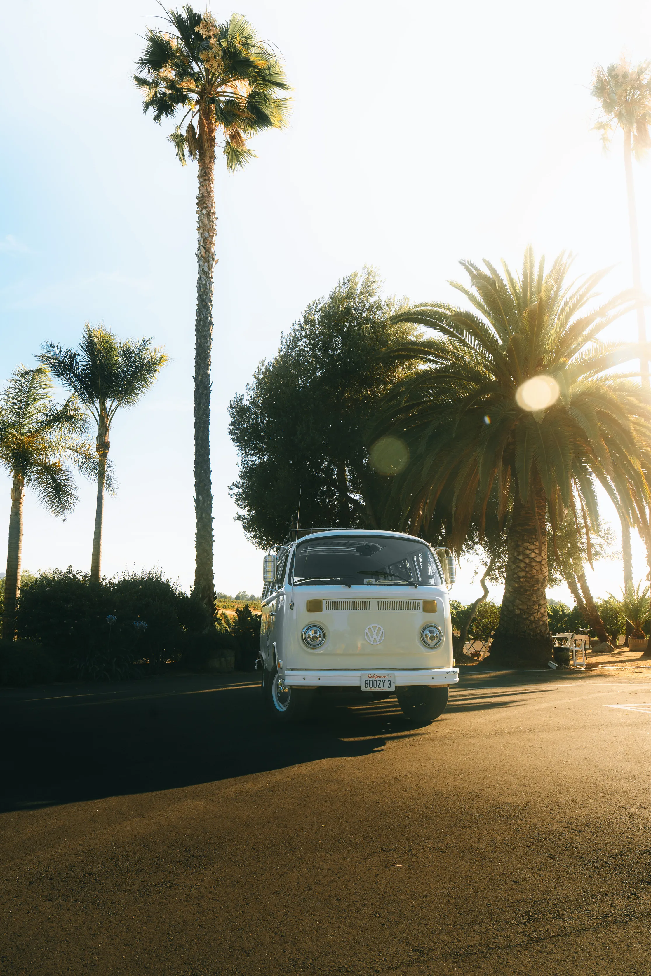 Group enjoying wine tasting on a Van'N Boozy Temecula wine tour