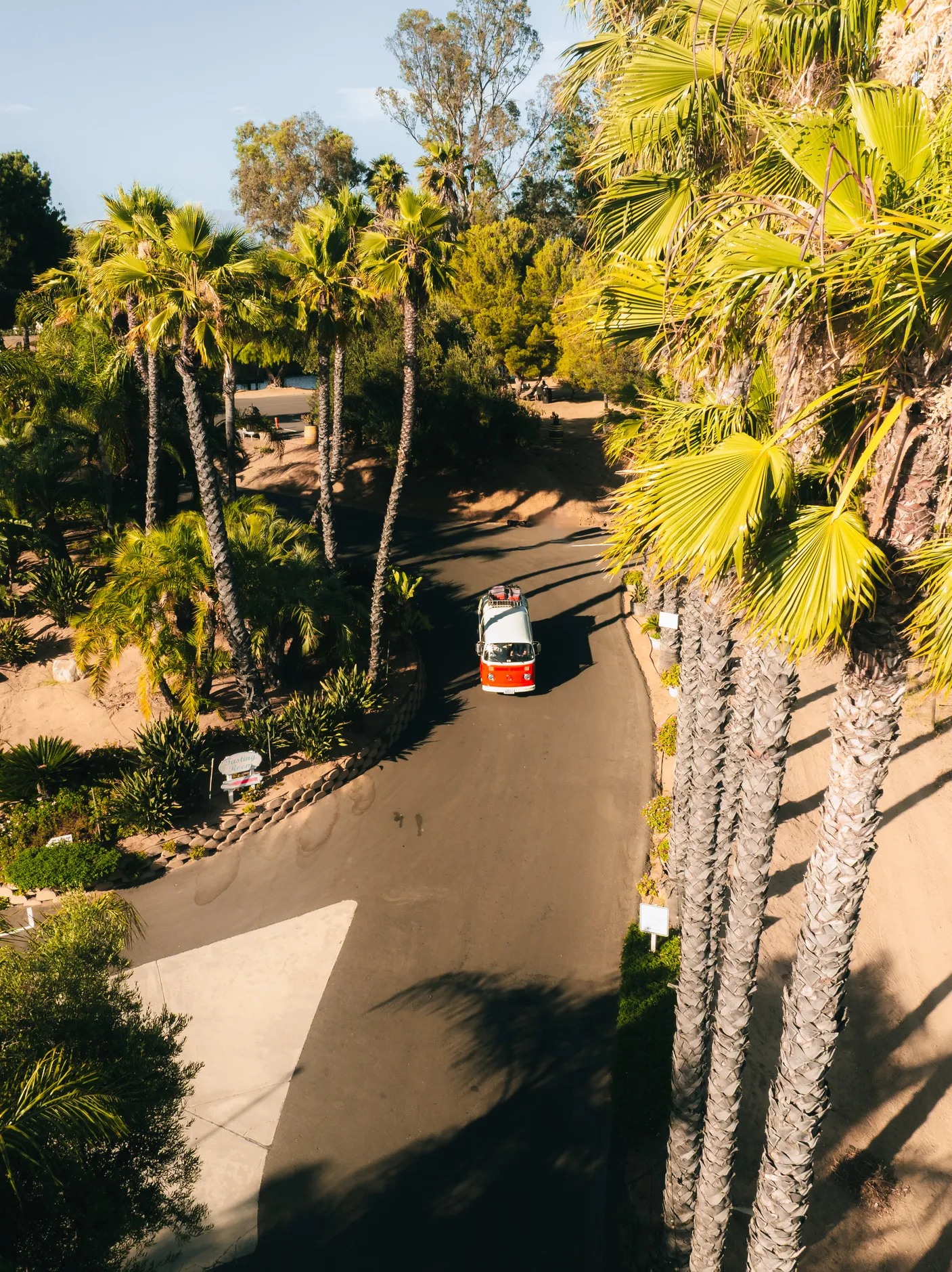 Vintage VW bus driving through Temecula Wine Country vineyards