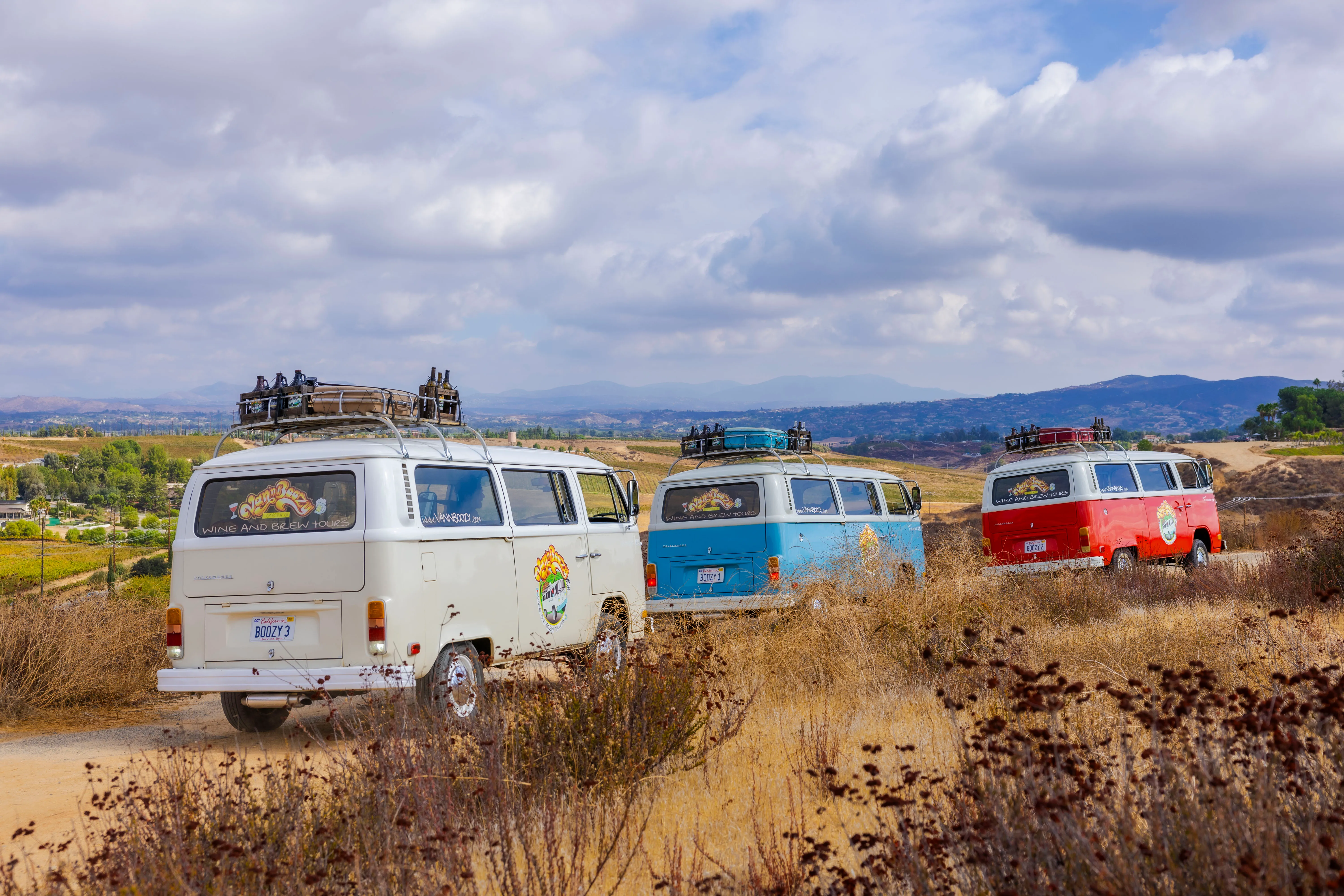Vintage VW bus wine tour cruising through Temecula Wine Country