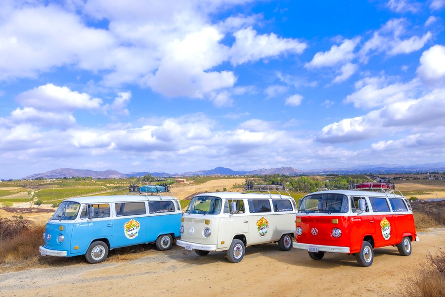 Fleet of vintage Volkswagen buses ready for private and shared Temecula Mocktail Tours.