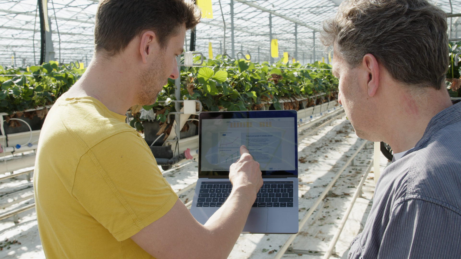 Our Process Img