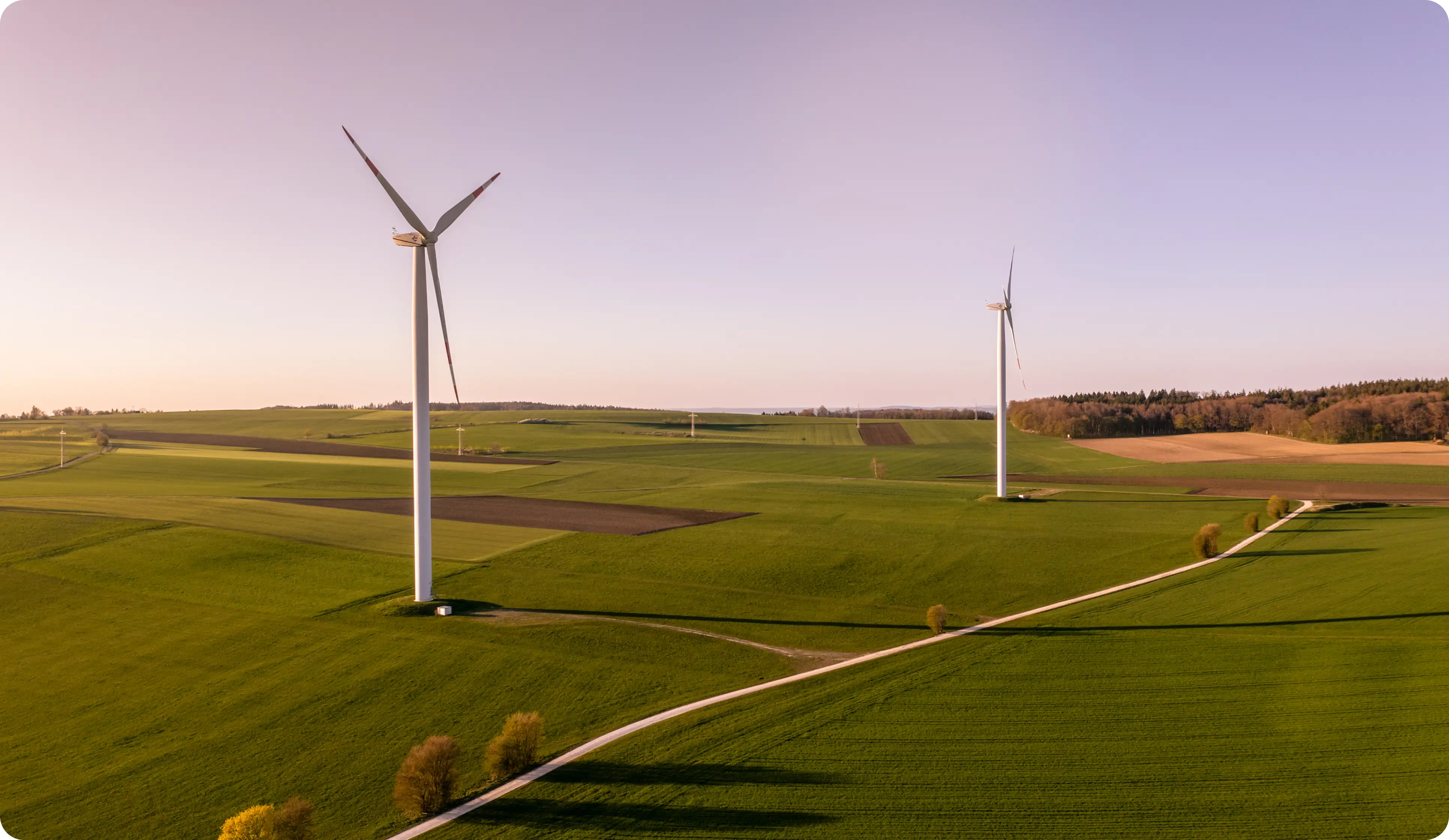 Two wind turbines standing in a green agricultural field with a dirt road and scattered trees under a clear sky during sunset.