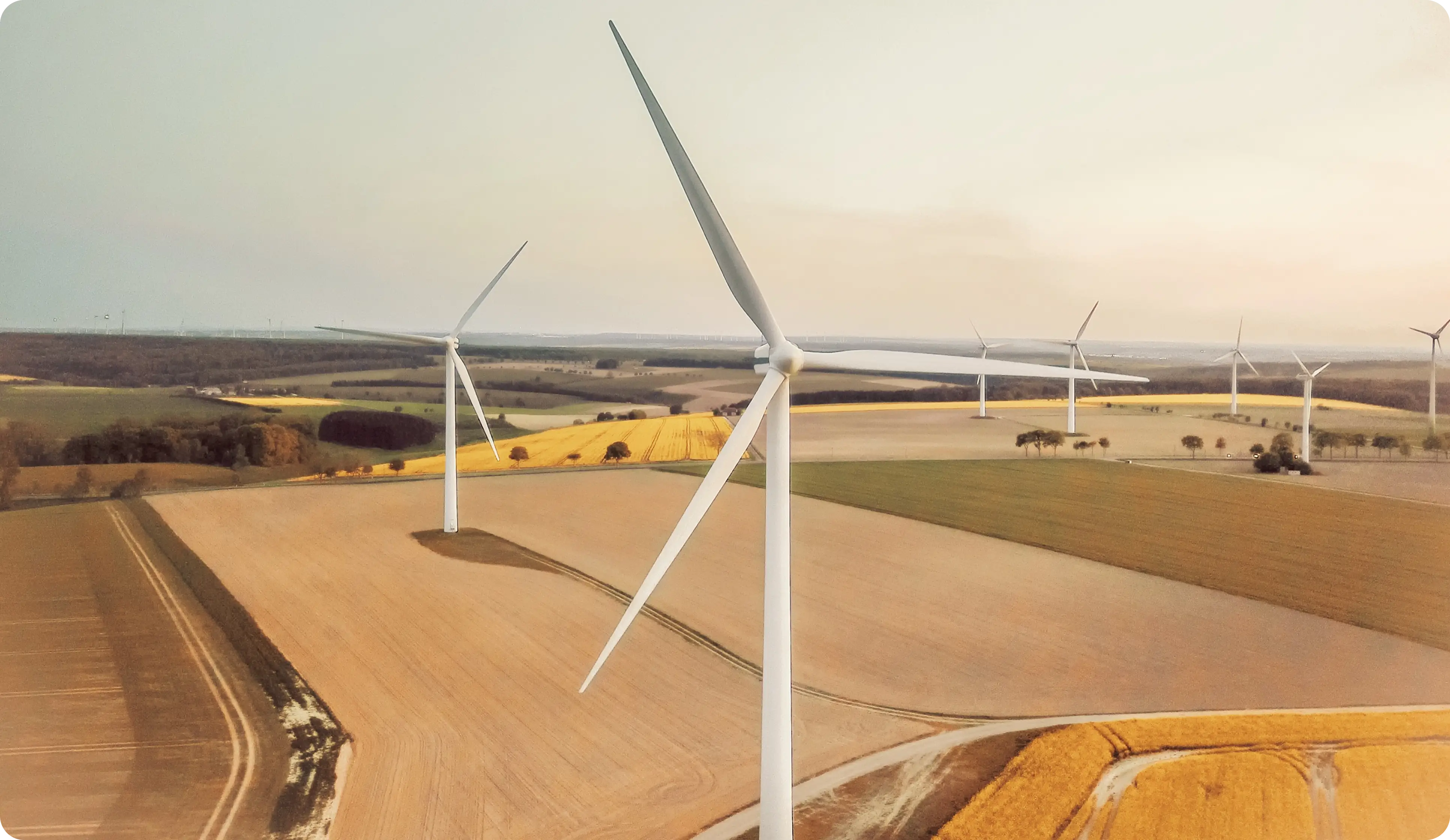 Several large white wind turbines standing in expansive farmland under a pale sky.
