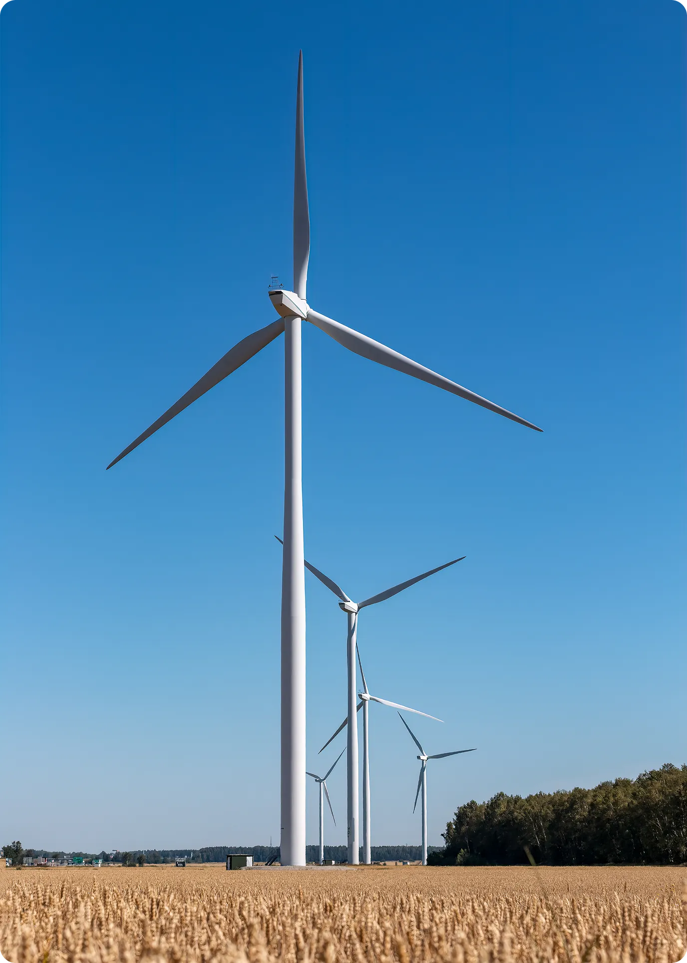 Solar panels and wind turbines under a blue sky generating renewable energy.