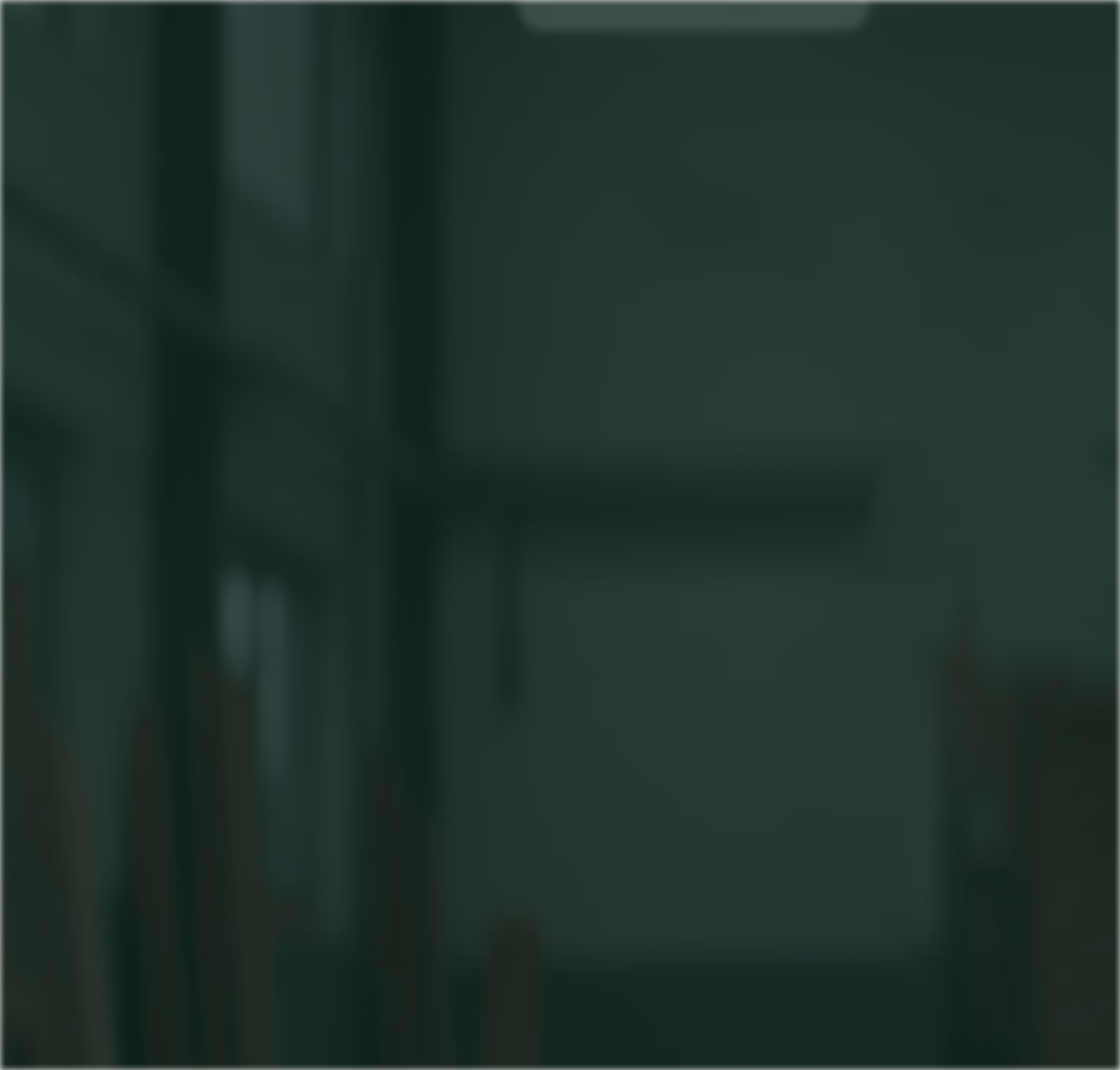 Blurred image showing an indoor space with windows and indistinct objects.