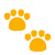 paw icon