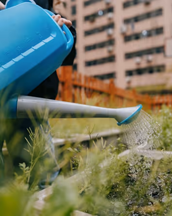 saving the enviornment by watering plants