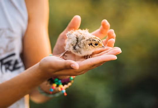a girl lovibg and caring a bird