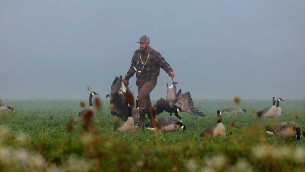 GLGO video production by Anson Creative