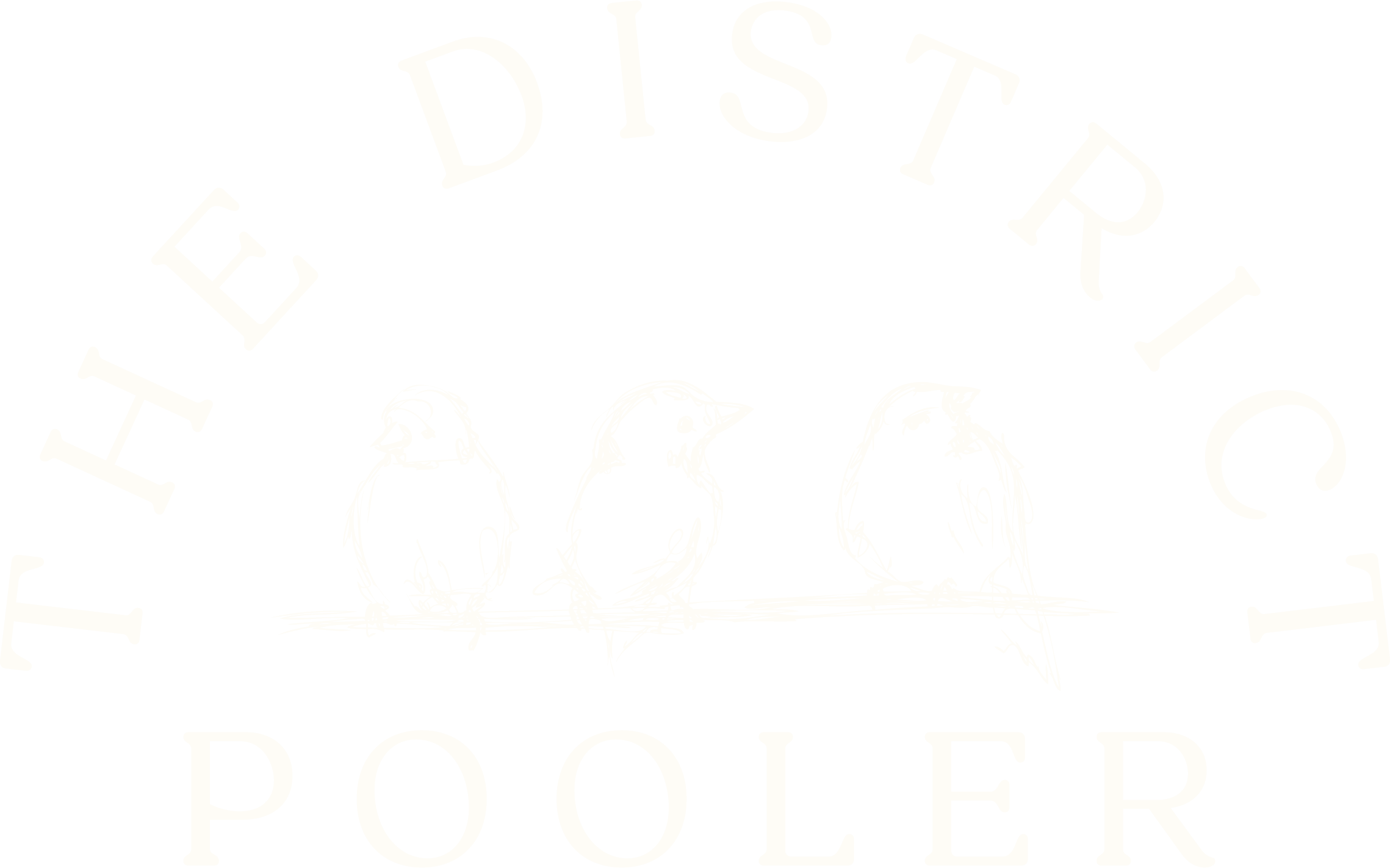 The District Pooler Logo