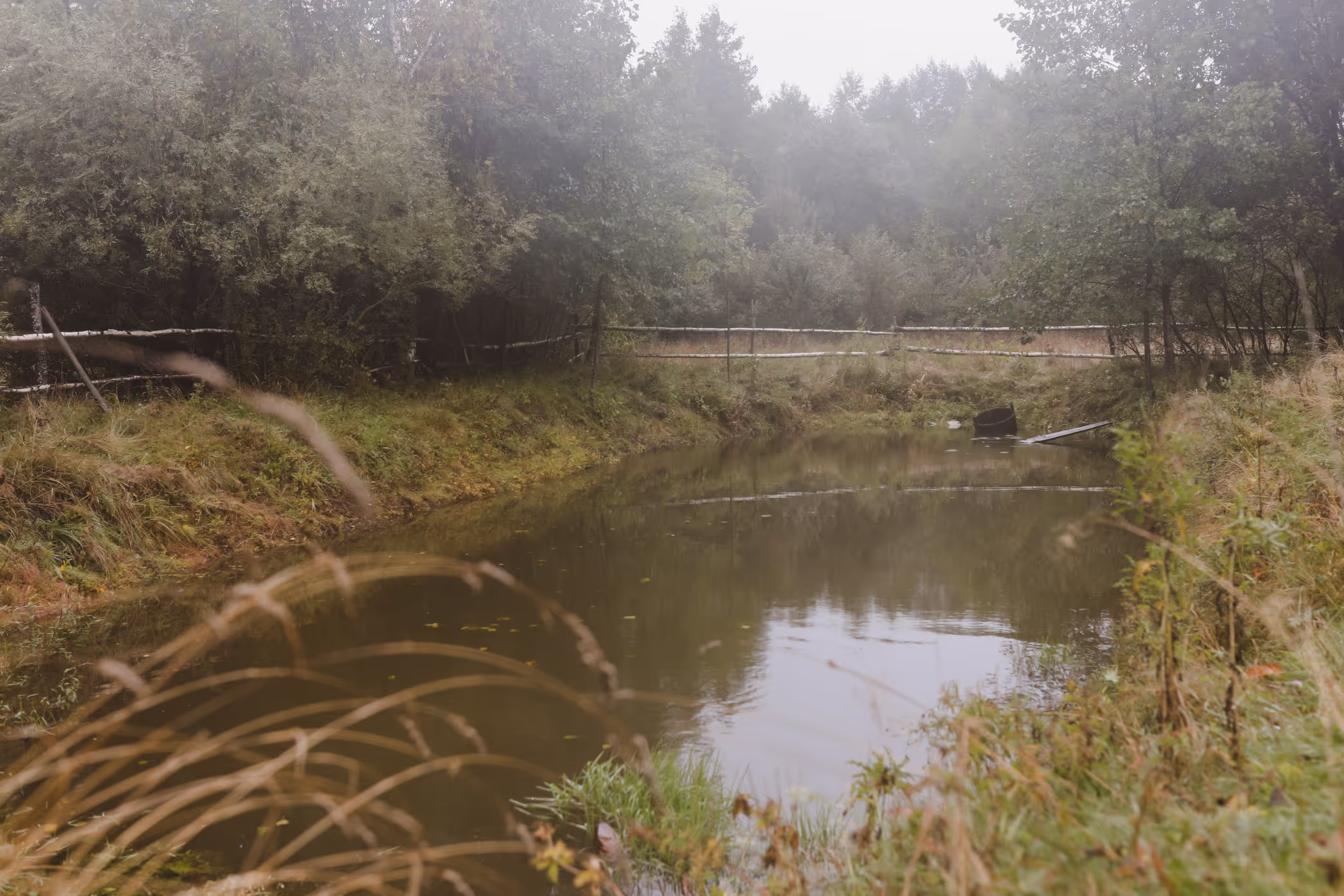 Tranquil creek surrounded by dense trees and grassy banks with a rustic wooden fence in the background.