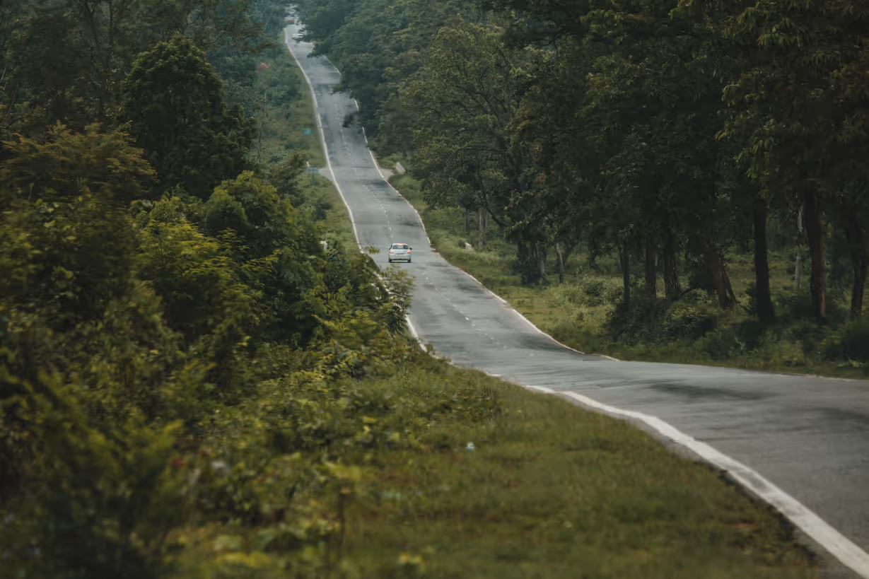 A long, winding road through dense green forest with a single white car driving along it.