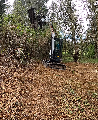 Small excavator clearing bushes and branches near tall trees in a wooded area.
