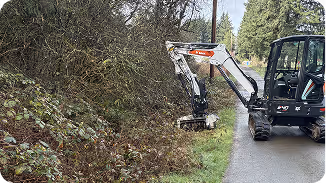 Small excavator clearing vegetation beside a roadside with trees in the background.