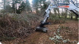 Excavator clearing dense blackberry bushes in a wooded area with scattered leaves on ground.