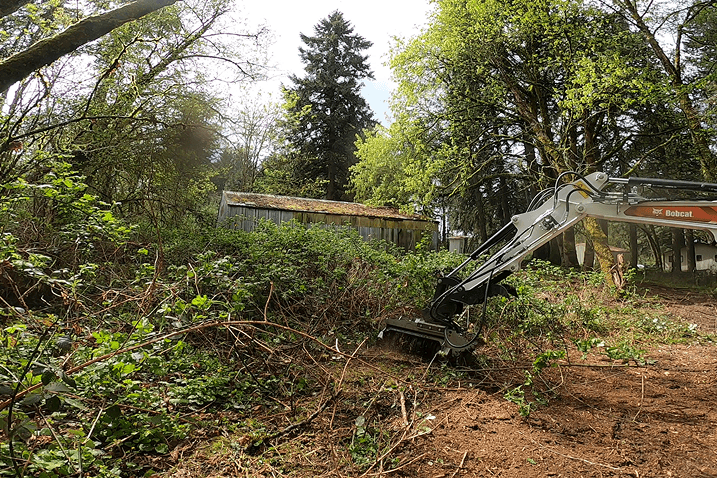 Bobcat excavator clearing dense brush and vegetation near a metal shed in a wooded area.