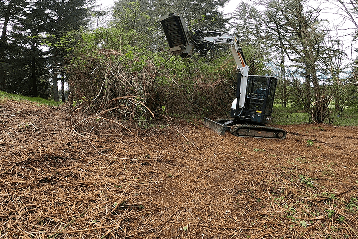 Small excavator clearing thick brush and branches on a wooded hillside.