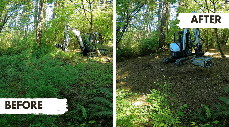 Forest area before and after clearing with excavator; dense green plants before, cleared dirt after.