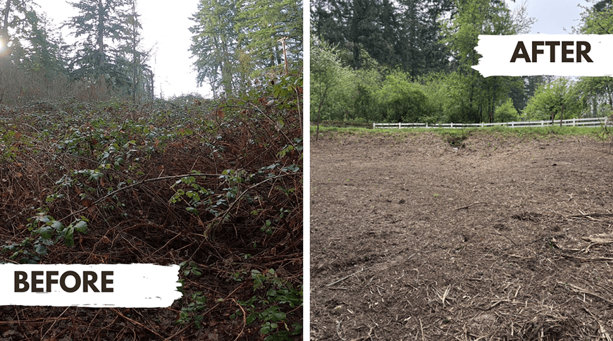 Before and after clearing of dense brush and vegetation, now showing bare soil with green trees in background.