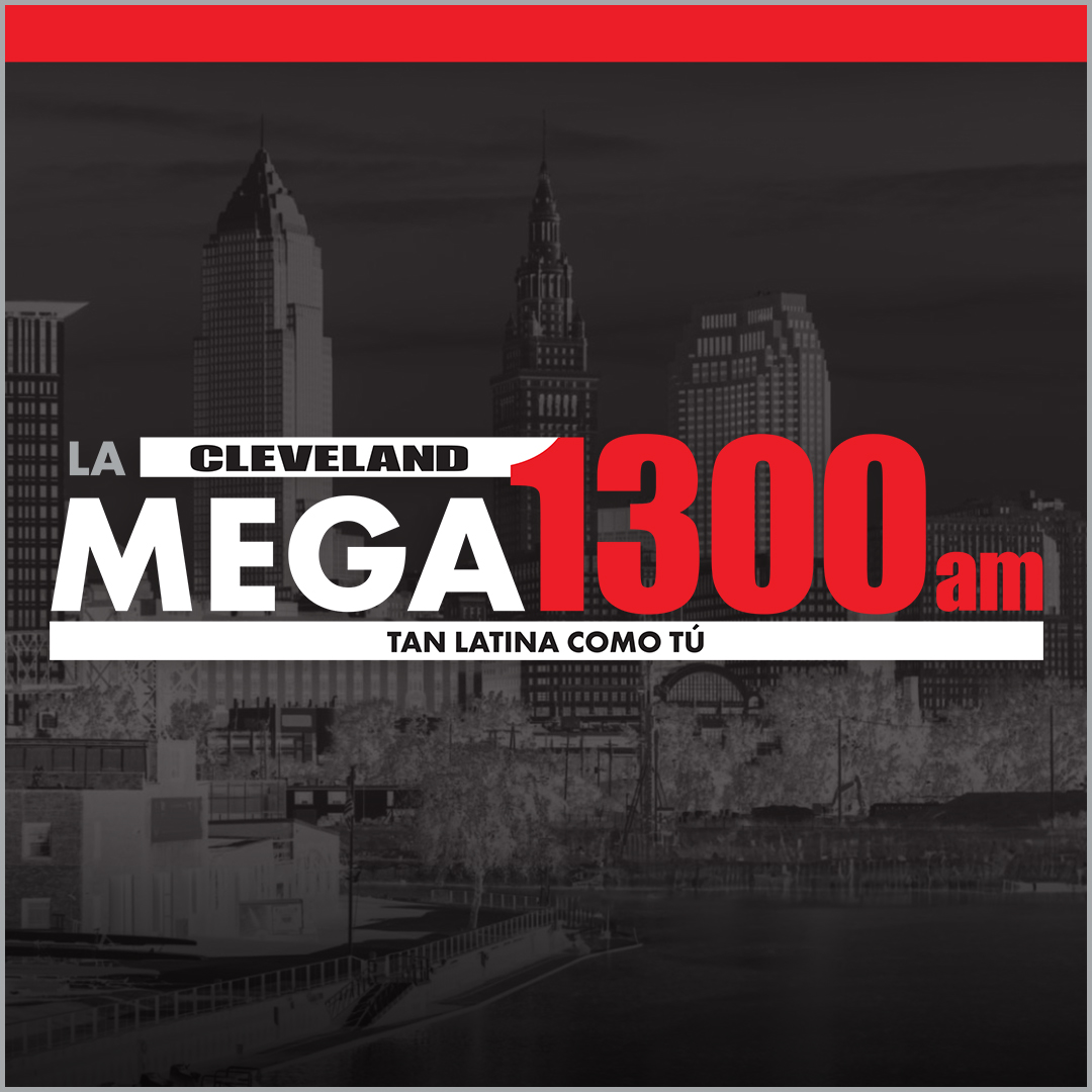 Mega 1300