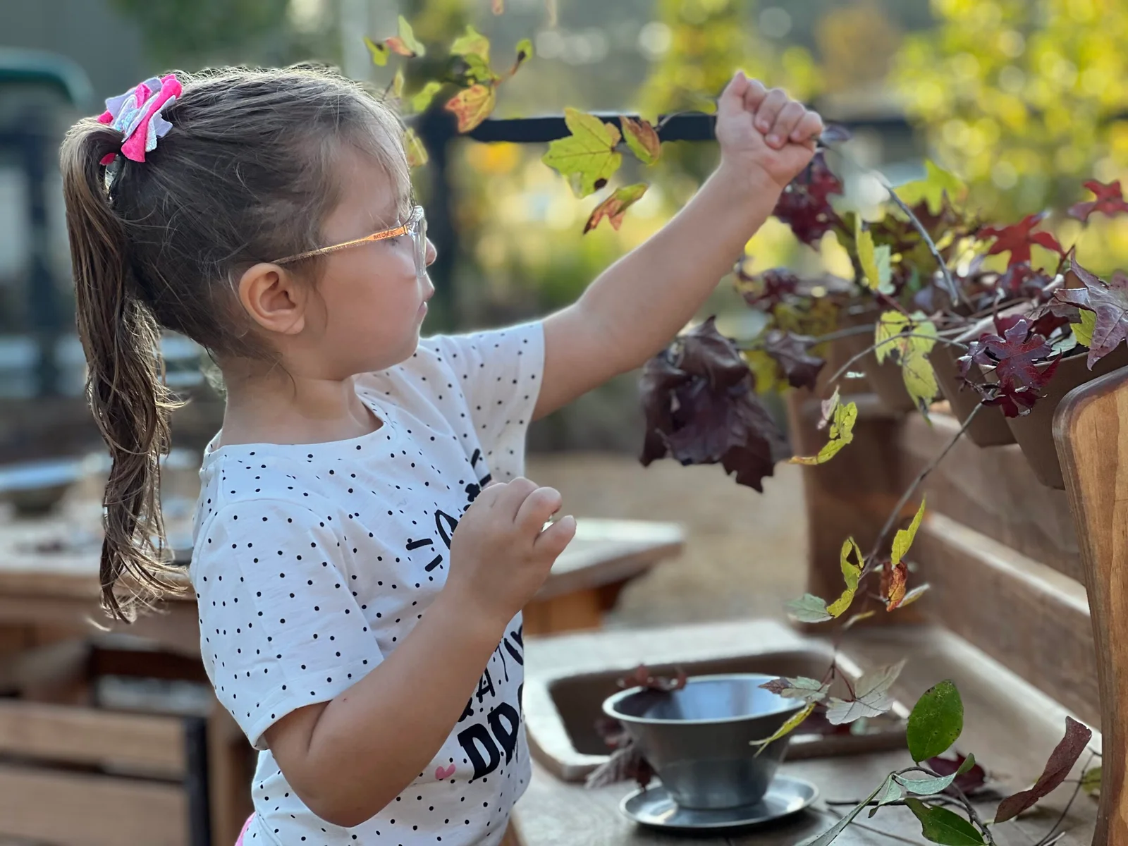 Young girl with glasses and a ponytail examining autumn leaves on a branch outdoors in soft sunlight.