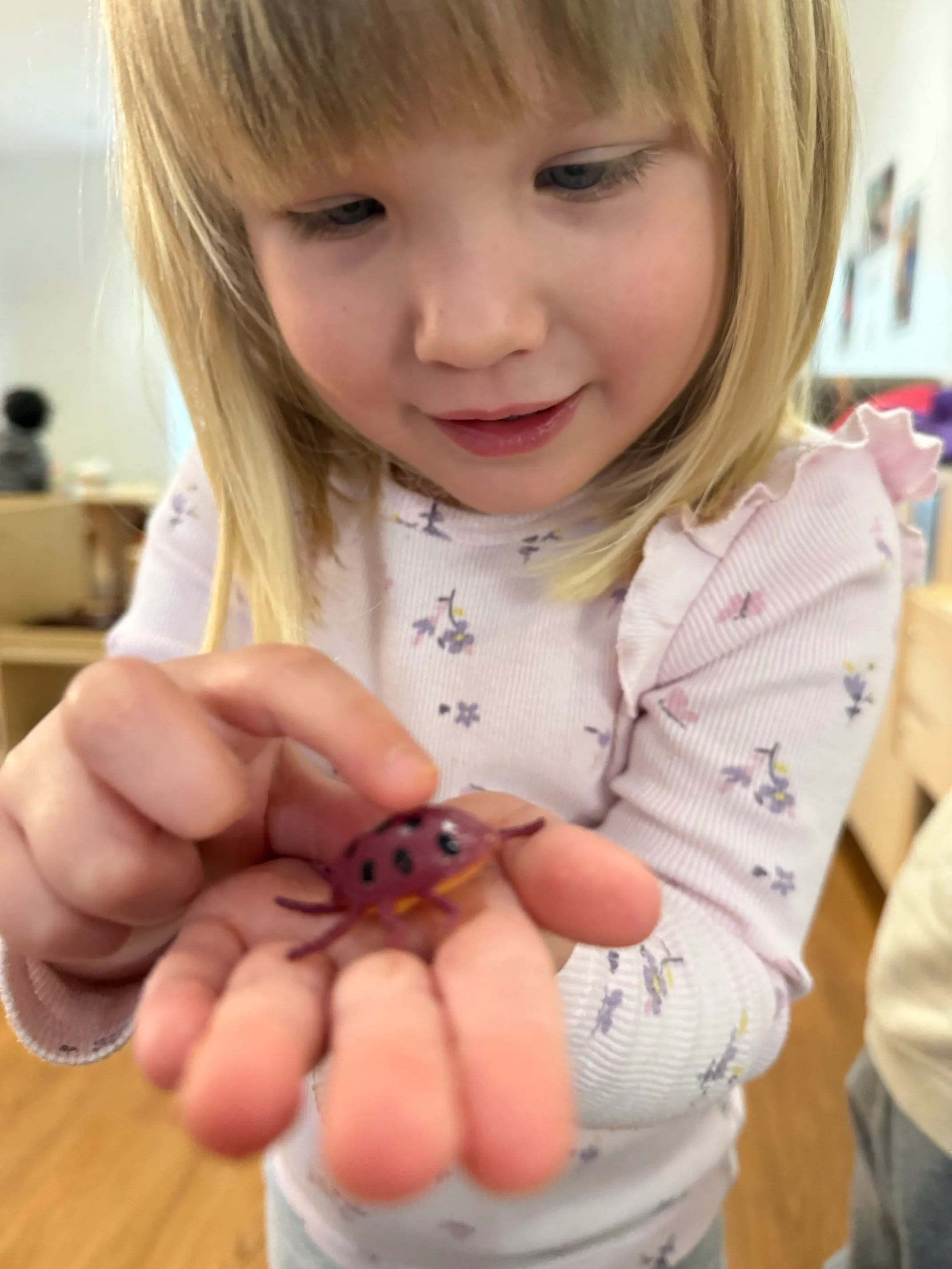 Young blonde girl holding and pointing at a small purple toy insect with black spots.