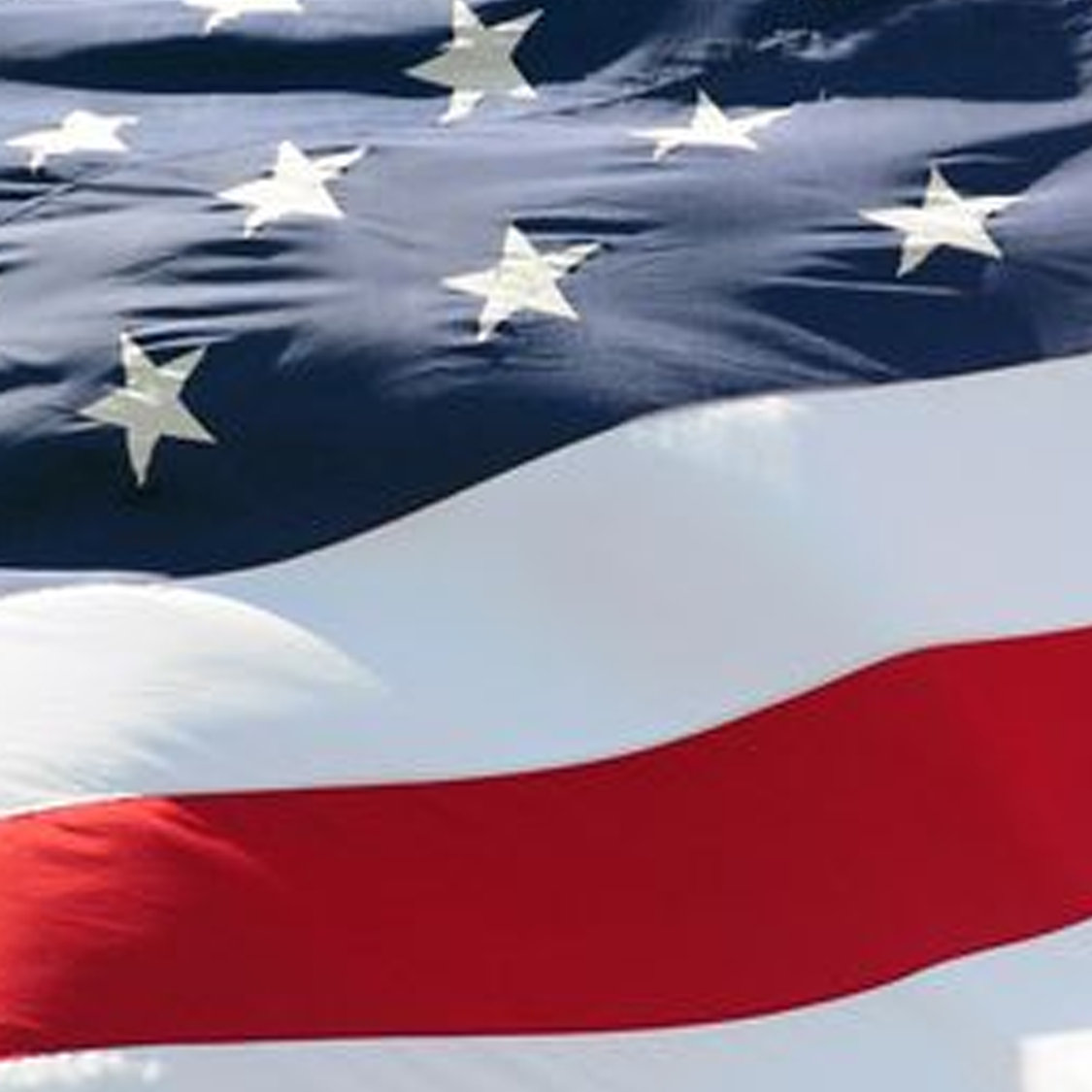 veterans day american flag
