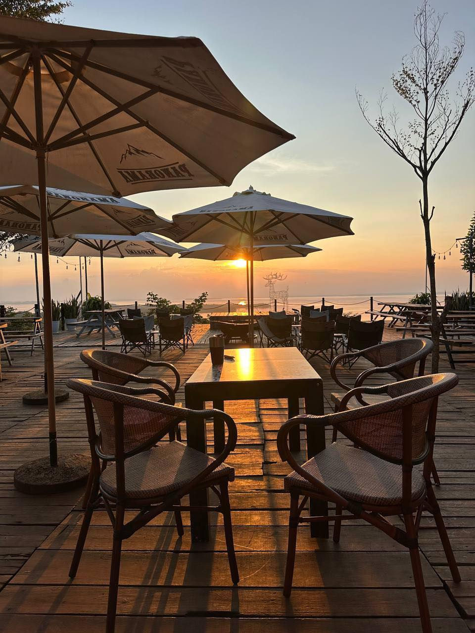 Khoảnh khắc bình minh tại Panorama Glamping – nơi ánh nắng dát vàng lên từng tán cây và bàn gỗ bên hồ Trị An.