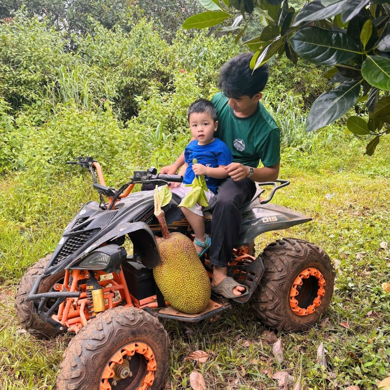 Trải nghiệm hái mít trong vườn — hành trình nhỏ nhưng đầy tiếng cười. Tại Panorama Glamping, mỗi khoảnh khắc là một bài học tự nhiên dành cho trẻ em.