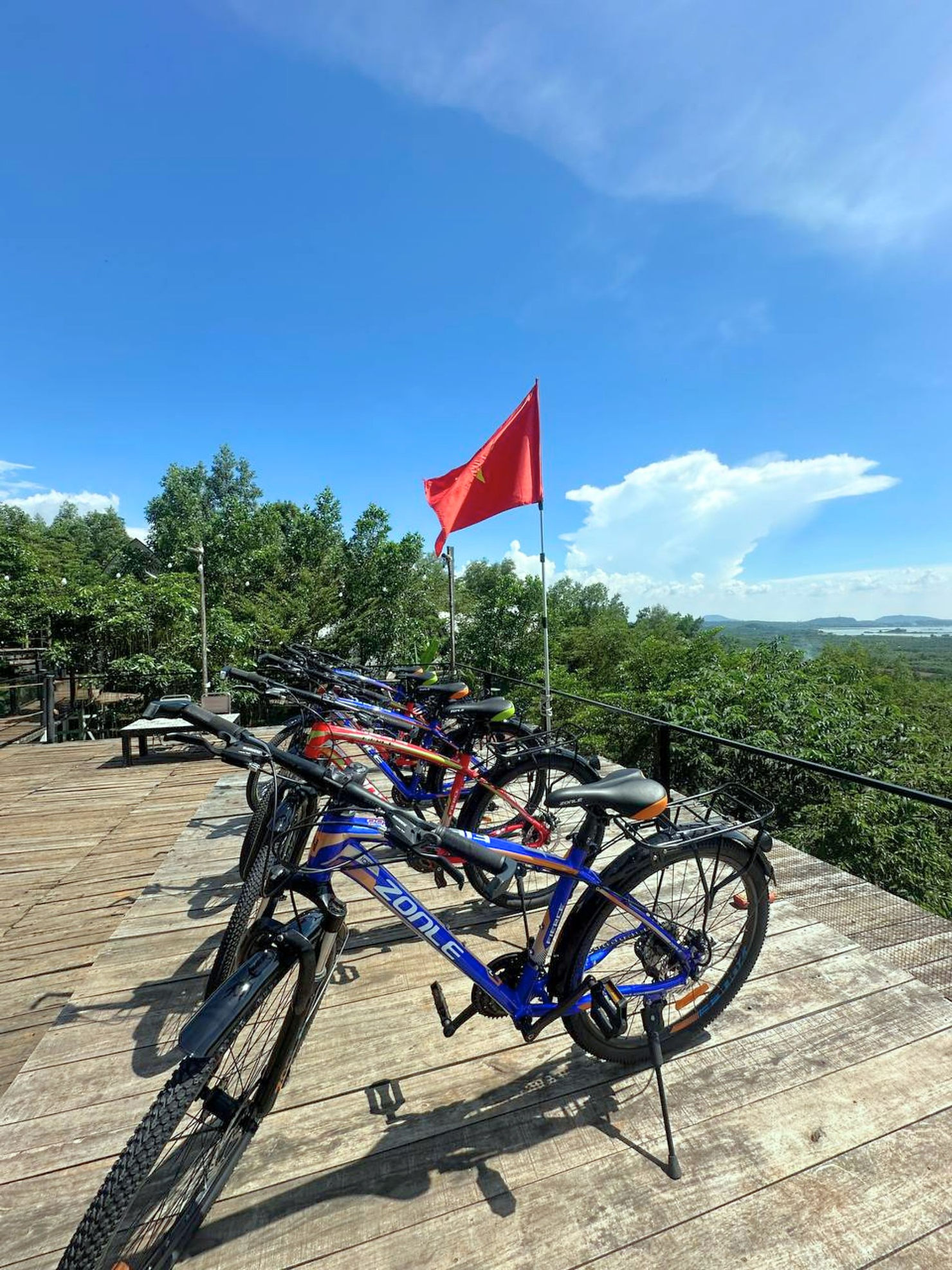 Xe đạp tại Panorama Glamping – khởi đầu hành trình đạp xe dưới rừng điều xanh mát, trải nghiệm ‘detox’ tâm trí và tận hưởng không gian glamping gần Sài Gòn.