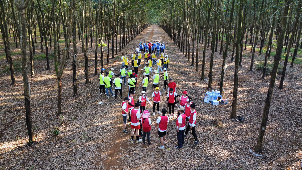 Hoạt động team building tại Panorama Glamping – đồng đội cùng nhau chinh phục thử thách giữa rừng cao su xanh mát, gắn kết trong từng khoảnh khắc.