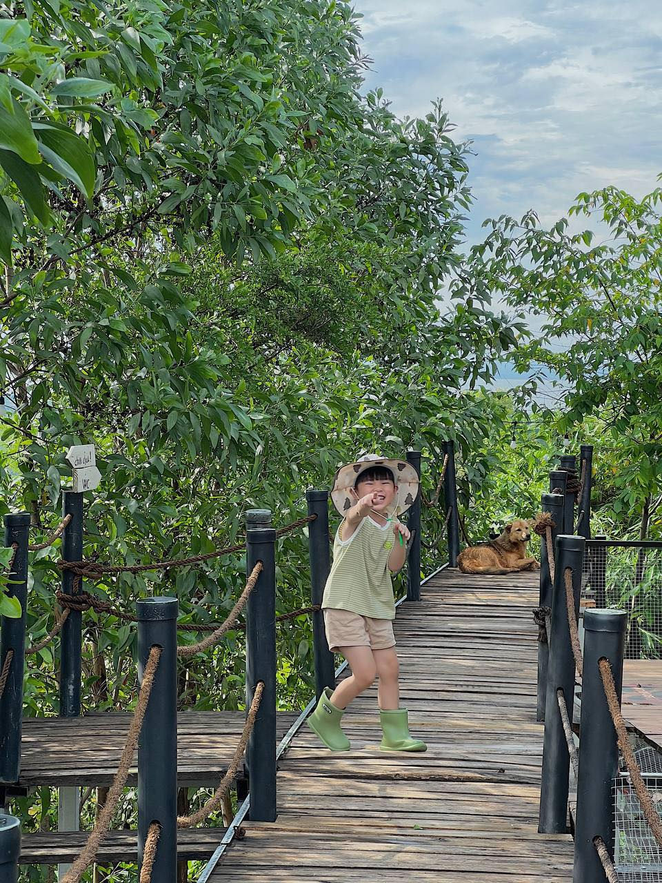 Niềm vui tuổi thơ giữa thiên nhiên Panorama – nơi bé tự do khám phá, cười vang, để mỗi ngày trôi qua đều trở thành một kỷ niệm trong trẻo khó quên