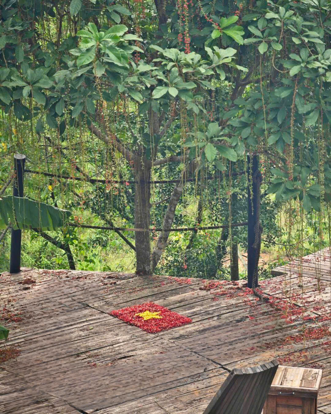 Lá cờ đỏ sao vàng được xếp thủ công bằng hoa rơi giữa sàn gỗ Panorama – một góc nhỏ nhưng đầy xúc cảm, nhắc nhớ về lòng tự hào dân tộc trong dịp 2/9. Không cần phô trương, chỉ một biểu tượng giản dị cũng đủ khiến người ta dừng lại, chiêm ngưỡng và nhớ về nguồn cội.