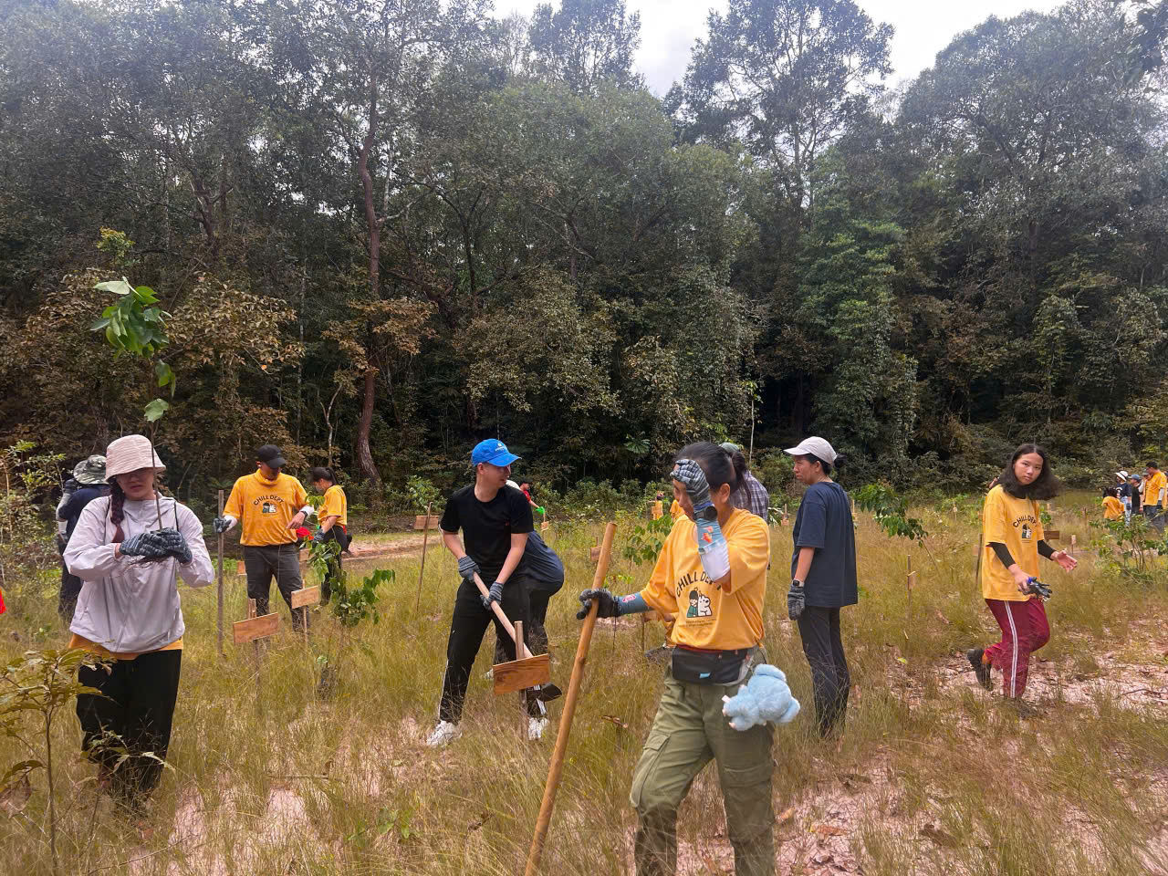  Trải nghiệm trồng cây thực tế giữa rừng cùng gia đình tại Panorama Glamping – kết nối thiên nhiên, gieo mầm xanh