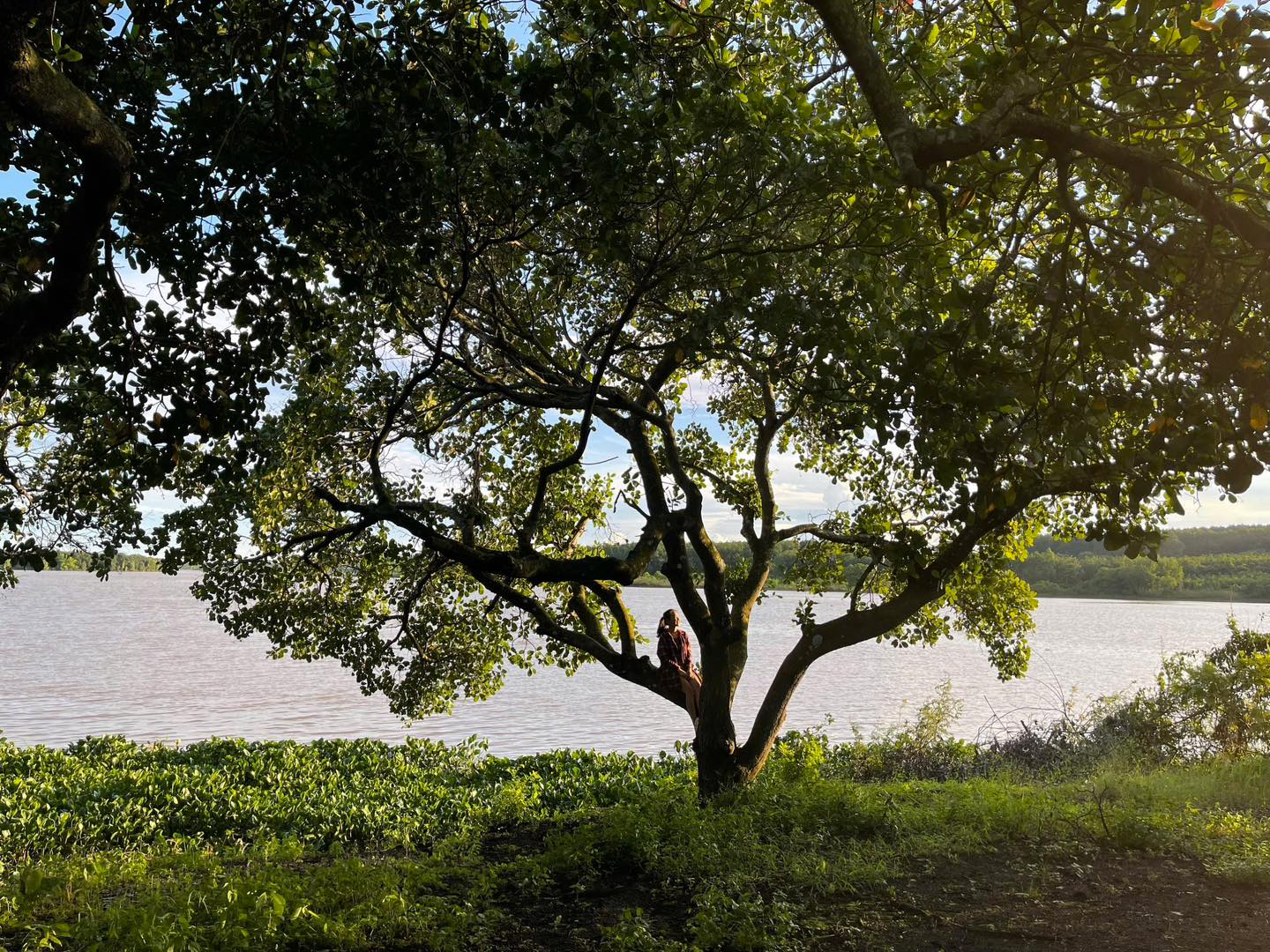 Tầm Nhìn Của Glamping Hub