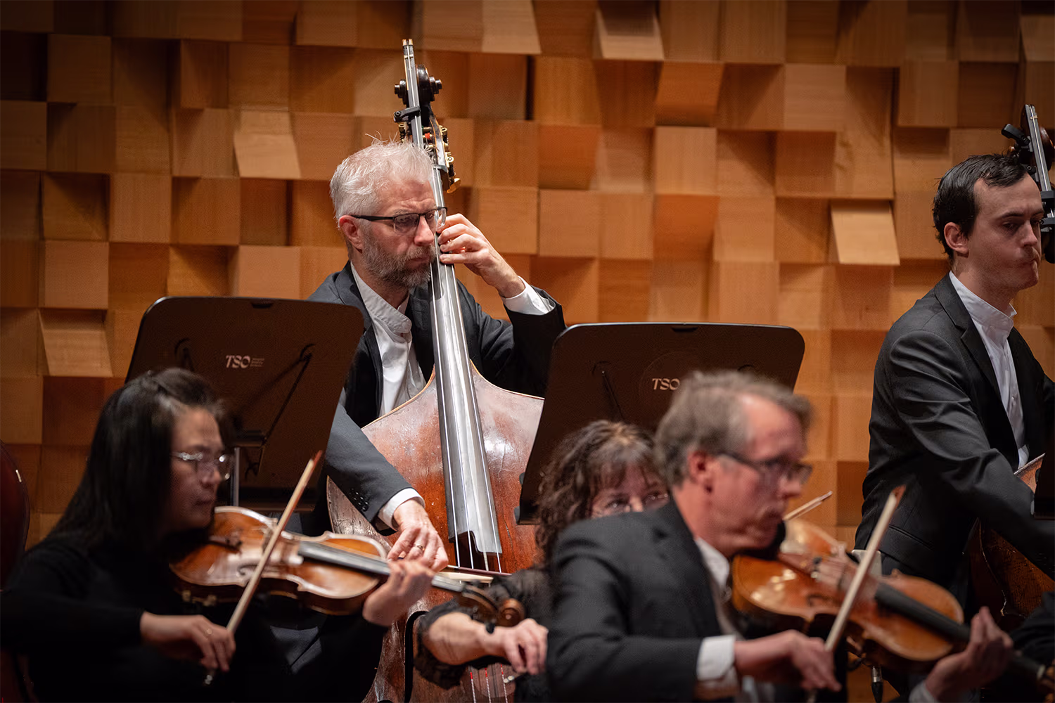 Stuart Thomson playing at the Federation Concert Hall