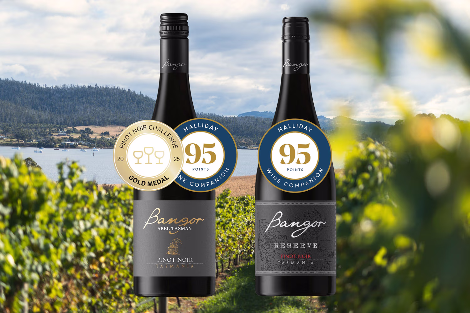 Two bottles of Bangor wine nestled over a Tasmanian vineyard backdrop.