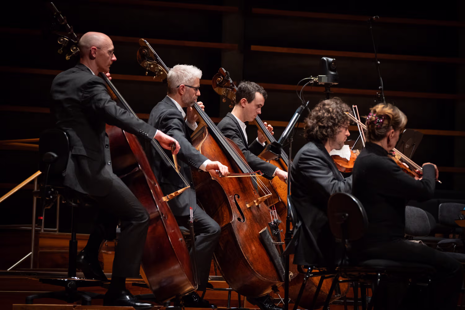 Three double bass players performing.