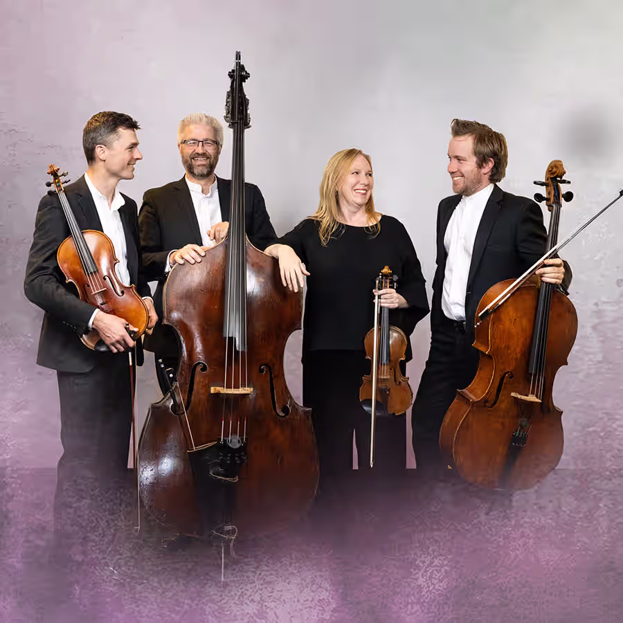 Four string musicians in front of a purple background.