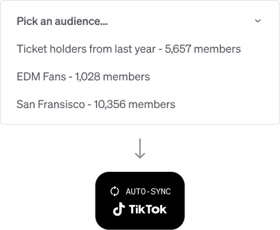 Supercharge your paid ads with our custom audience sync to TikTok Advertising