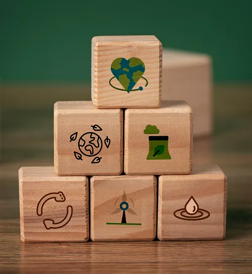 Erudatia-academics-one-curriculum-structure-image-five