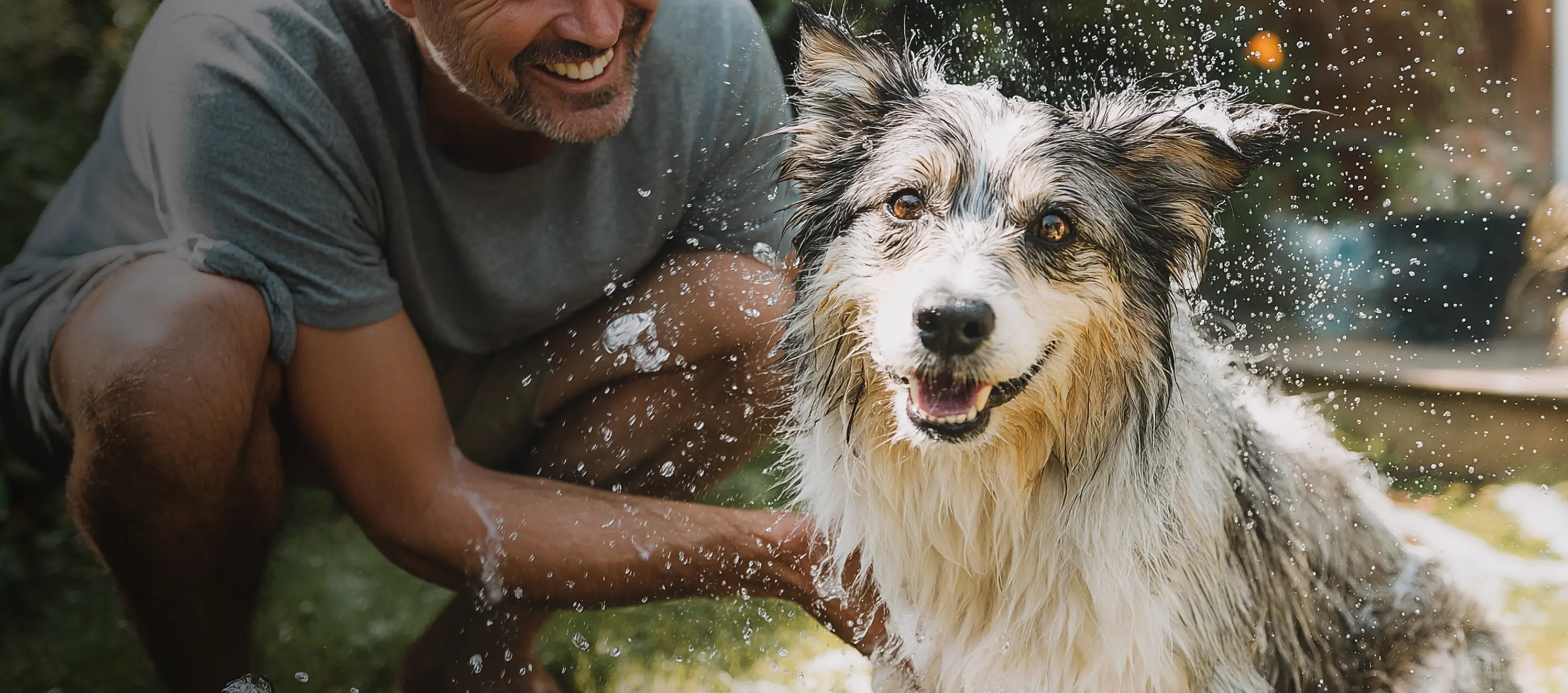 PeakSpring pet care testimonial image for Daan, dog owner.