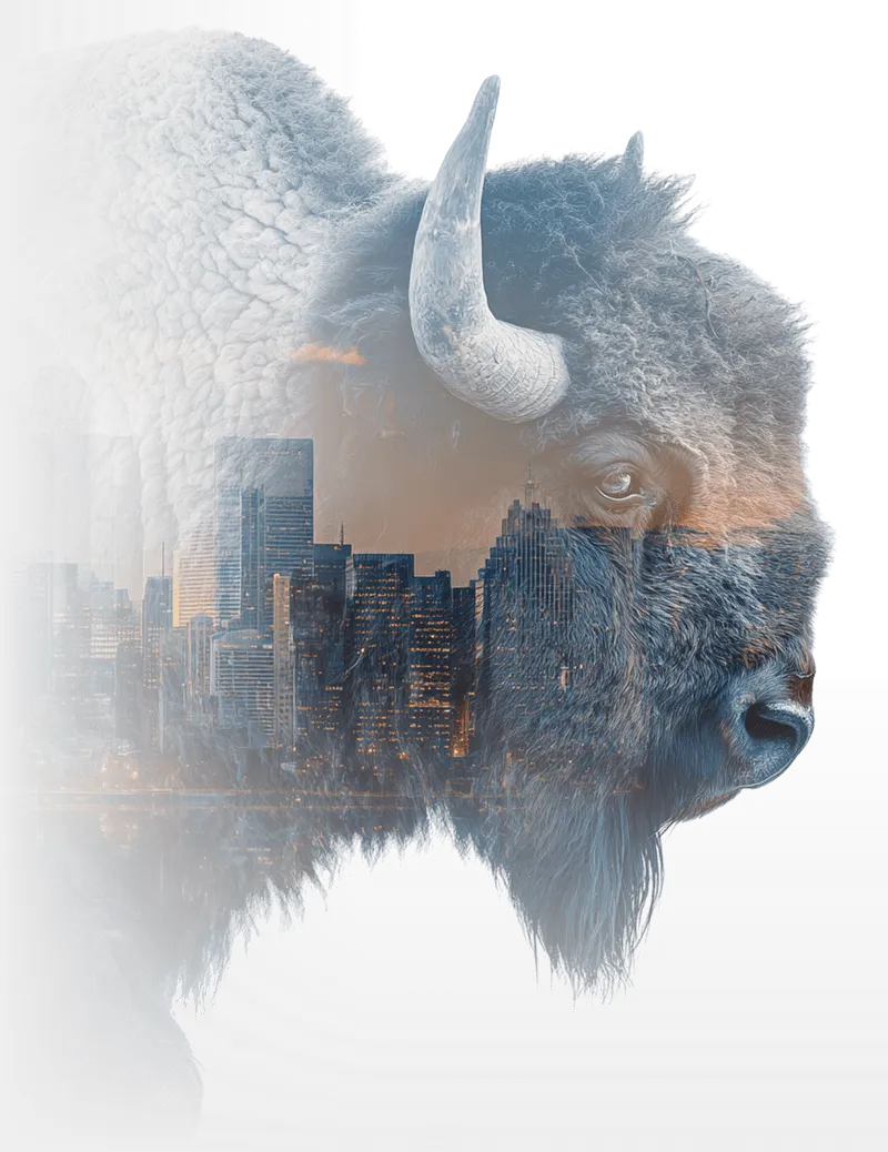 Double exposure of a bison and the New York City skyline at sunset